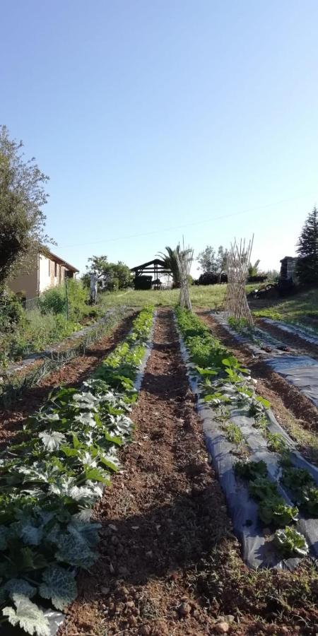 Podere Baloo Suvereto Exterior foto